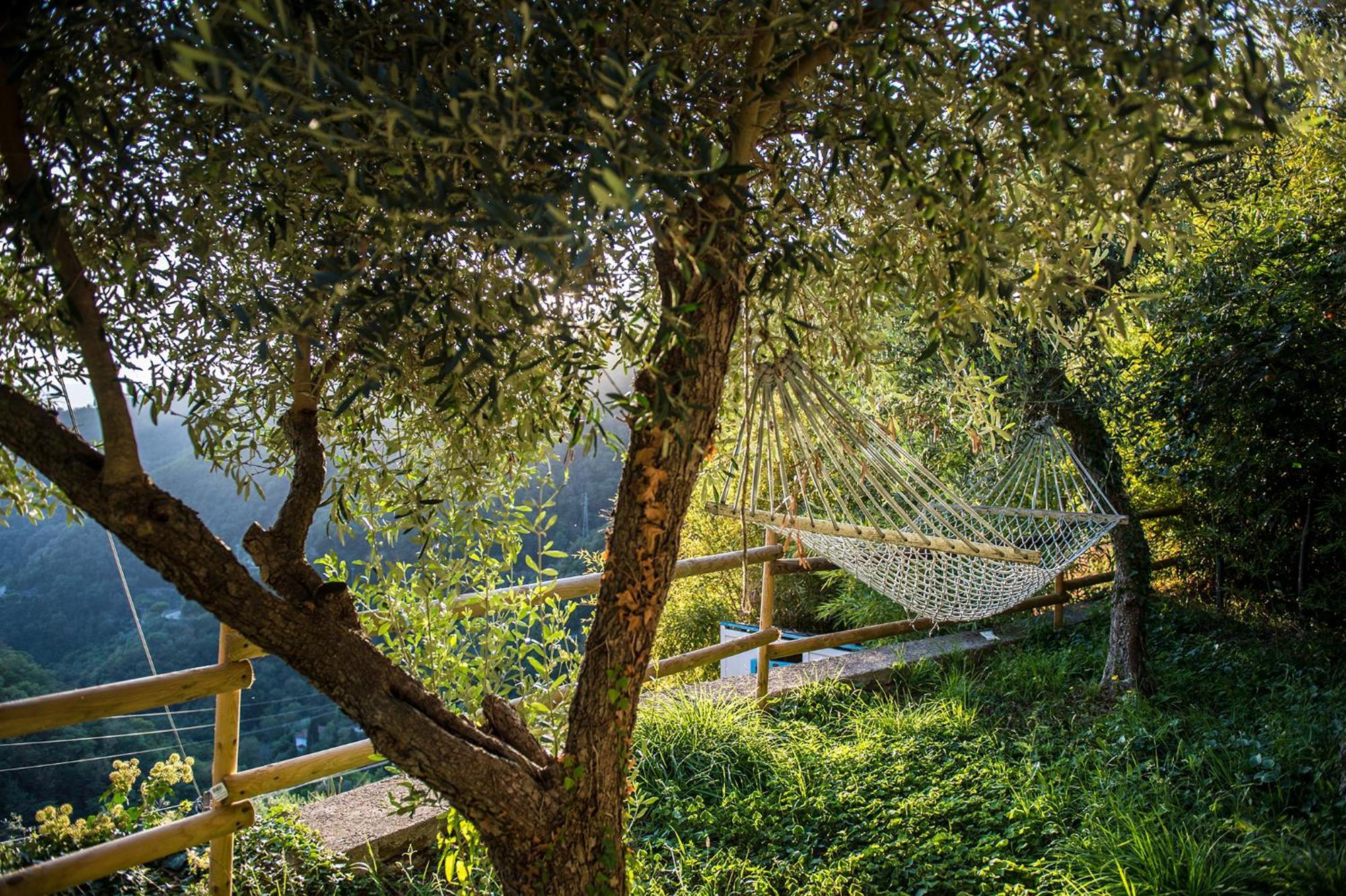 Re Dream Suite A Tema - Rapallo Exterior foto